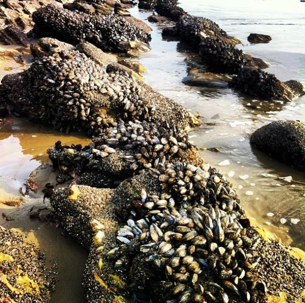 boating-clean-and-green